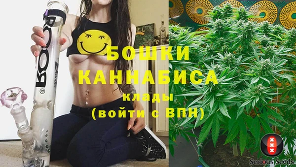 тгк Армянск