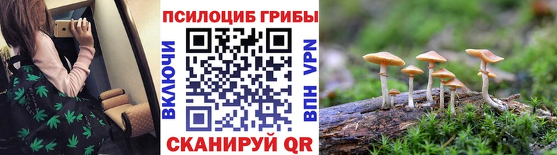 Галлюциногенные грибы Psilocybine cubensis  Тавда 